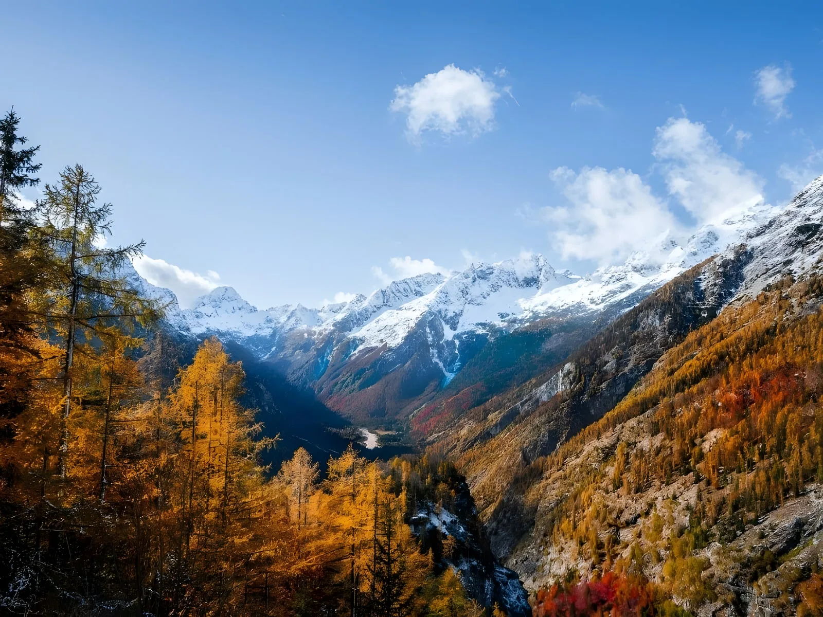 Autumn mountain valley in Georgia: golden larches, forested slopes, and snow peaks